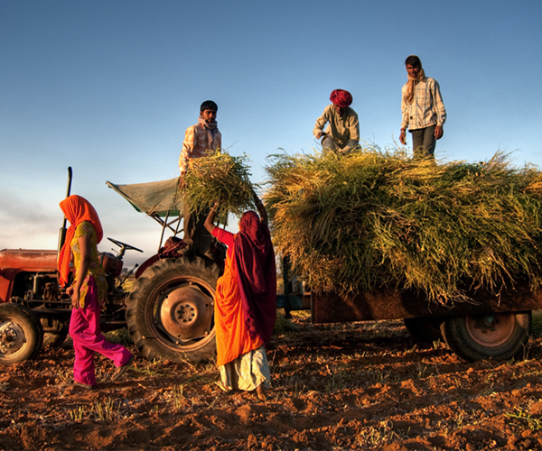 KC Jammu Flour Mills